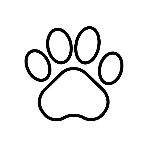 animaux